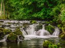 Ein Tal blüht auf: Gartenschau wie noch nie
