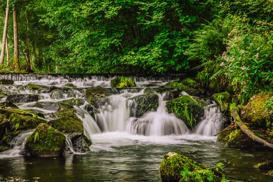 Friedrichstal Forbach Bach Fluss Wasser Bachlauf Steine Ulrike Klumpp (3)