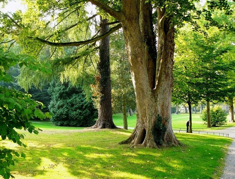 Palaisgarten bei Hasselbach