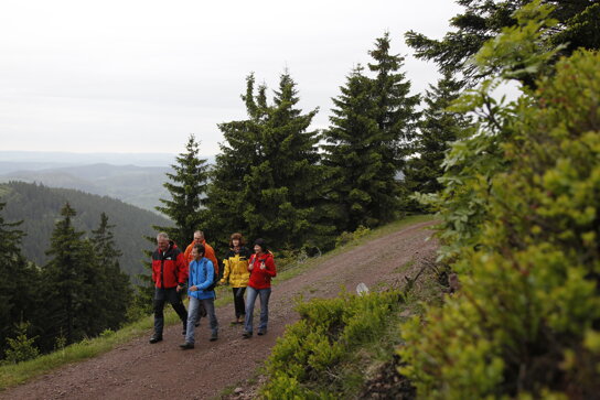 Wanderung rund um Oberhof c Oberhof Tourismus