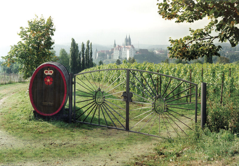 image 38 blick vom proschwitzer weinberg c Weingut Schloß Proschwitz Prinz zur Lippe
