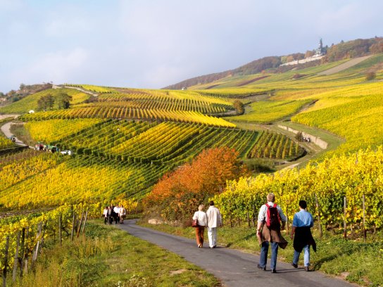 Wandergruppe C Rüdesheim Tourist AG - Karlheinz Walter