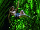 Disneys Tarzan in Hamburgs Großstadtdschungel