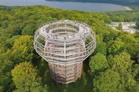 baumwipfelpfad-ruegen-800x534