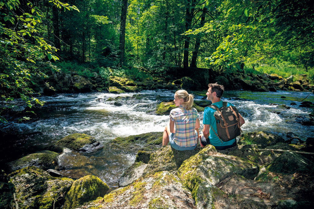 Bavarian Forest (c) www.bayern.by - Stefan Eisend