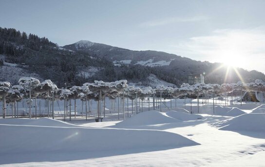 KW Kristallwolke Winter