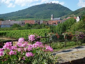 Ortsansicht SH mit Burg 1