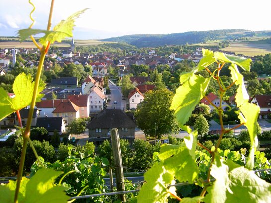 Weinberg Markelsheim c Stadt Bad Mergentheim Andi Schmid
