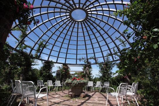 Rosarium © Ulrich Mathias