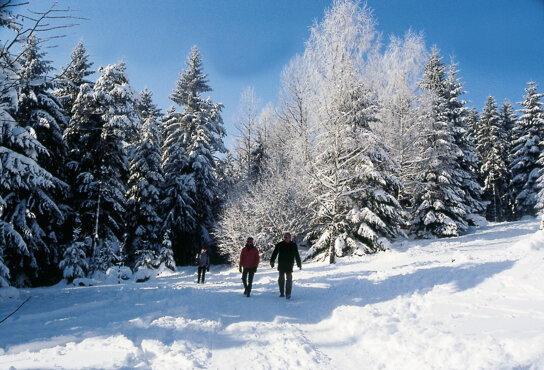 Wandern Winter
