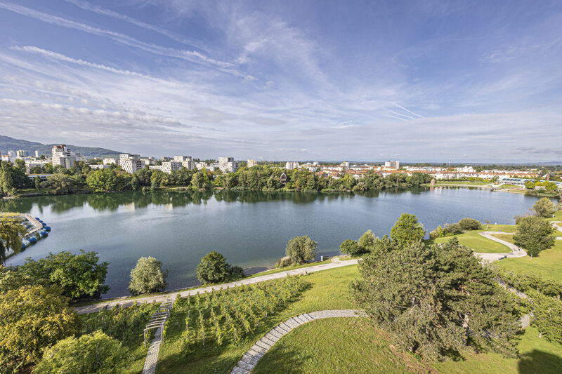 Seepark Freiburg – Aktivitäten am Flückigersee