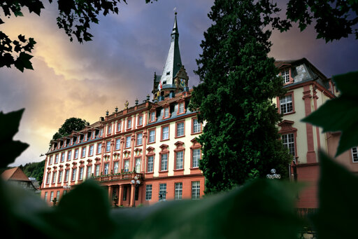 Erbach – Altstadt & Schloss im Odenwald