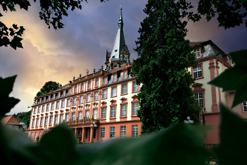 Schloss Erbach-im-Odenwald