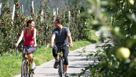 velo fahren kein c Sonnenhotel Adler