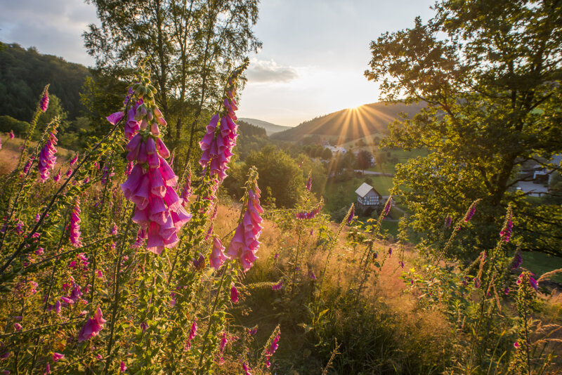 Sauerland Natur