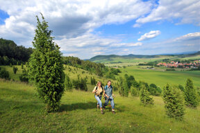 Berge und Wälder