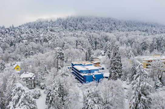 Badenweiler Winter-38