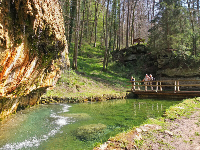 Flusslauf im Müllerthal