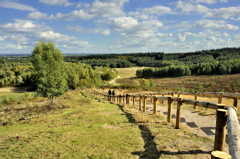 Landschaft