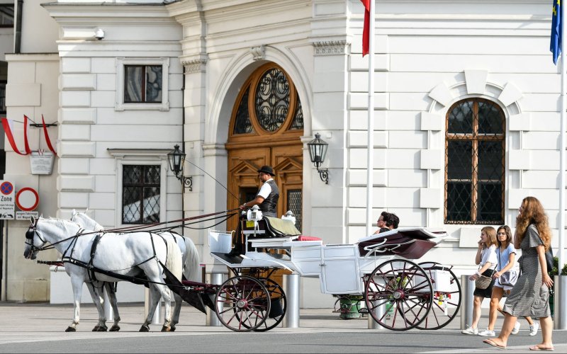 Fiakerfahrt in Wien