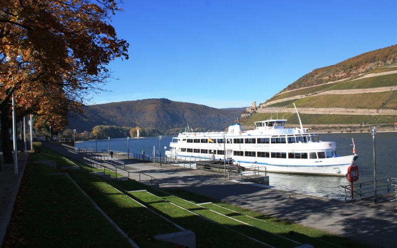 Bingen Schiff vor Weinbergen