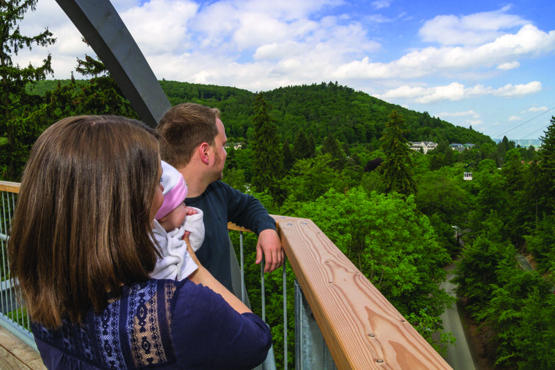 Baumkronen auf dem Baumwipfelpfad Neuschönau im Bayerischen Wald