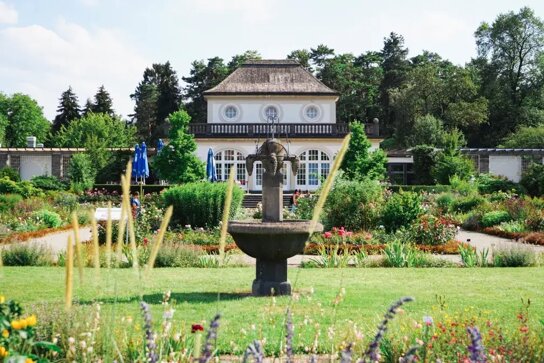 2022 bgm cafe ben sagmeister