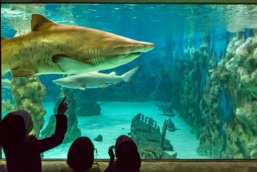 Meeresaquarium Zella Mehlis