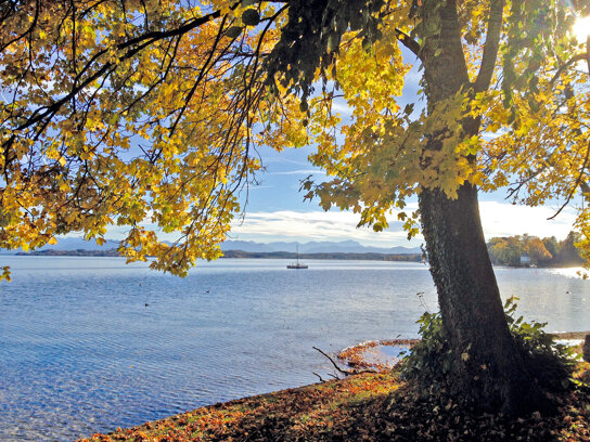 Herbst am Starnberger See c Pixabay