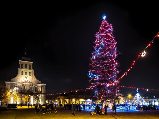les-guirlandes-lumineuses-du-sapin-de-neuf-brisach-se-sont-allumees-a-18-h-precises-ce-vendredi-soir-26-novembre-photo-l-alsace-paul-willis-1638022680
