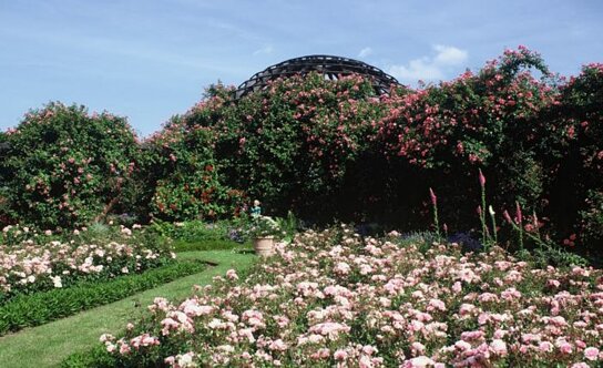 csm rosenhoehe 01 e76df0123d