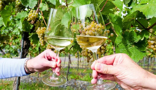 weingut Alfred Prüm Wehlen