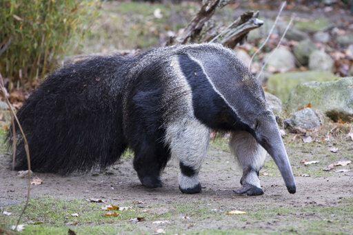Zoo Schwerin