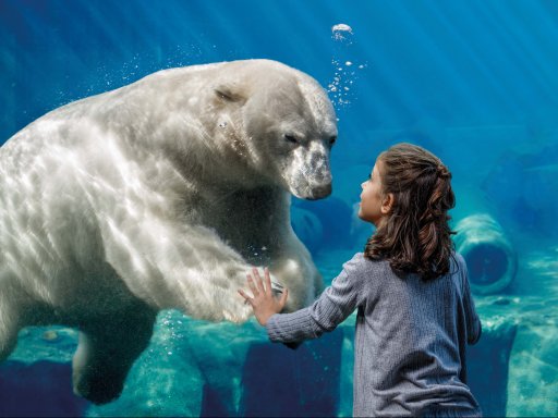 Tierisch schöne Weltreise an einem einzigen Tag