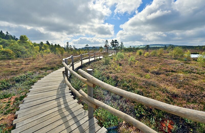 Schwarzes Moor Wanderweg