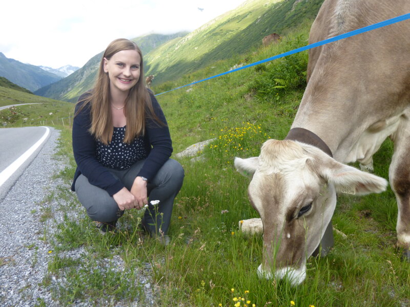 Lisa Carmiggelt neben einer Kuh auf der Silvretta Hochalpenstraße