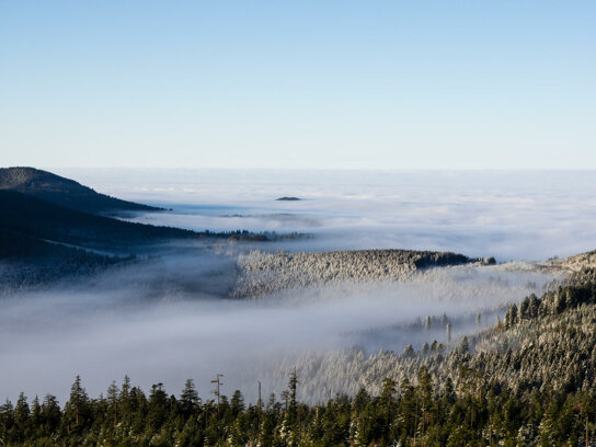 Badener Hoehe Panorama ArneKolb