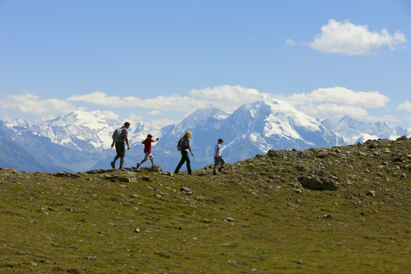 Familienwanderung im Vinschgau mit Ortler © Vinschgau Marketing / Frieder Blickle