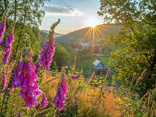 Erholsamer Kurzurlaub hoch oben im Sauerland 