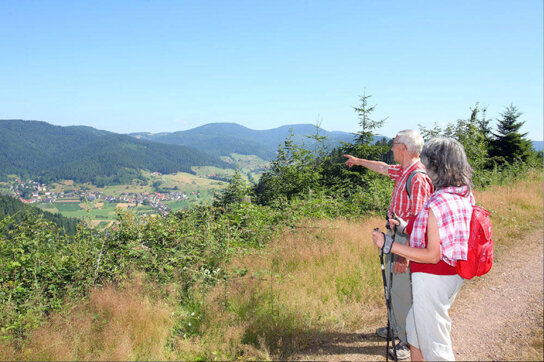 Wanderer C TI Gastliches Kinzigtal