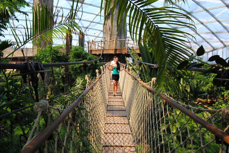 Hängebrücke in der Tropenerlebniswelt