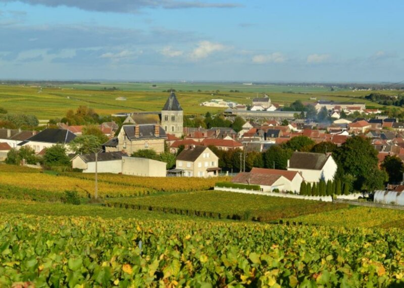 Weinberge bei Vertus an der Côte des Blancs in der Champagne
