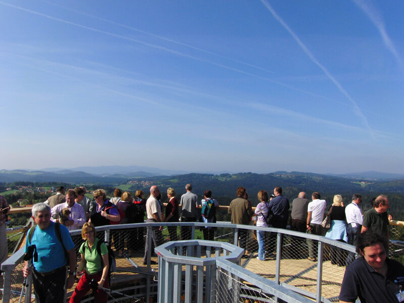 Panoramablick vom Aussichtsturm des Baumwipfelpfads über den Bayerischen Wald
