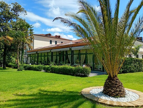 Park mit Bäumen rund um das Villa Pace Park Hotel