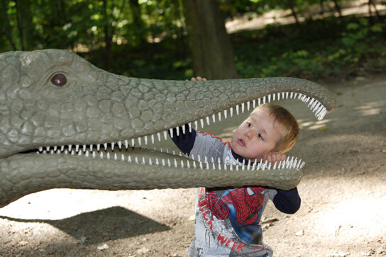 Saurierpark Kleinwelka20