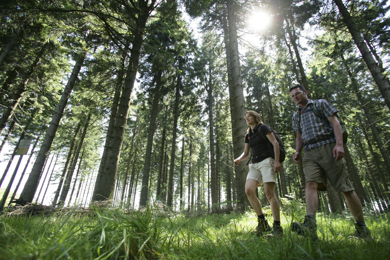 Wandern im Sauerland – Paar auf dem Rothaarsteig