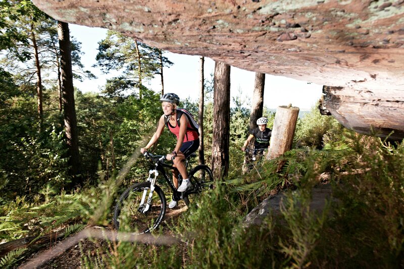 Mountainbiking im Pfälzer Wald