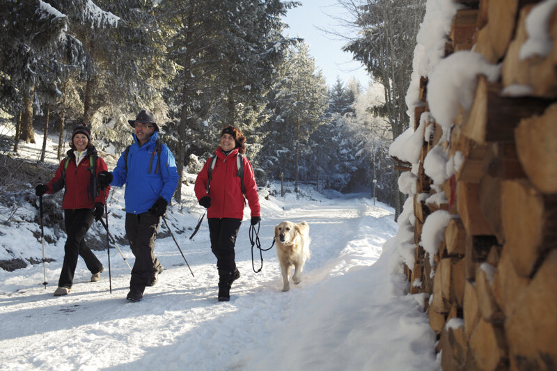 Wandern mit Hund im Schwarzwald im Winter