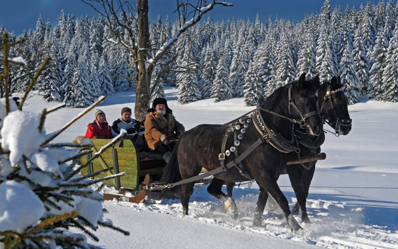 Winterlandschaft im Erzgebirge