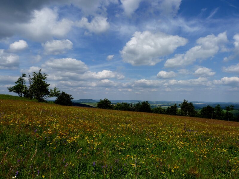 Erzgebirge Vogtland Landschaft